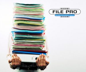 File Pro Services- Blog